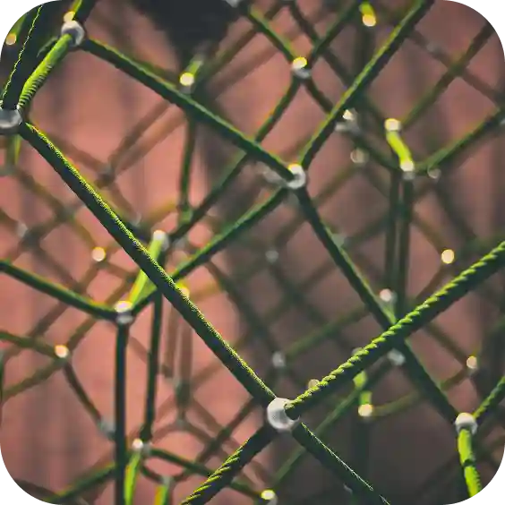 network