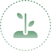 An Ecosystem, not an Intervention